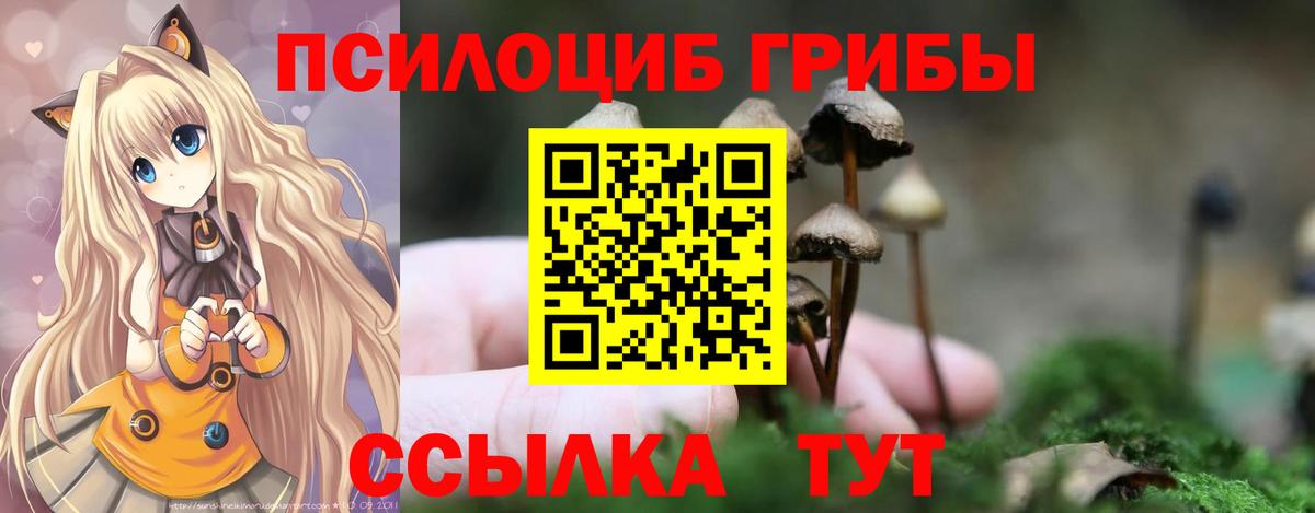 Псилоцибиновые грибы Magic Shrooms  Галлюциногенные грибы ЛСД  Вход с VPN  Карпинск 